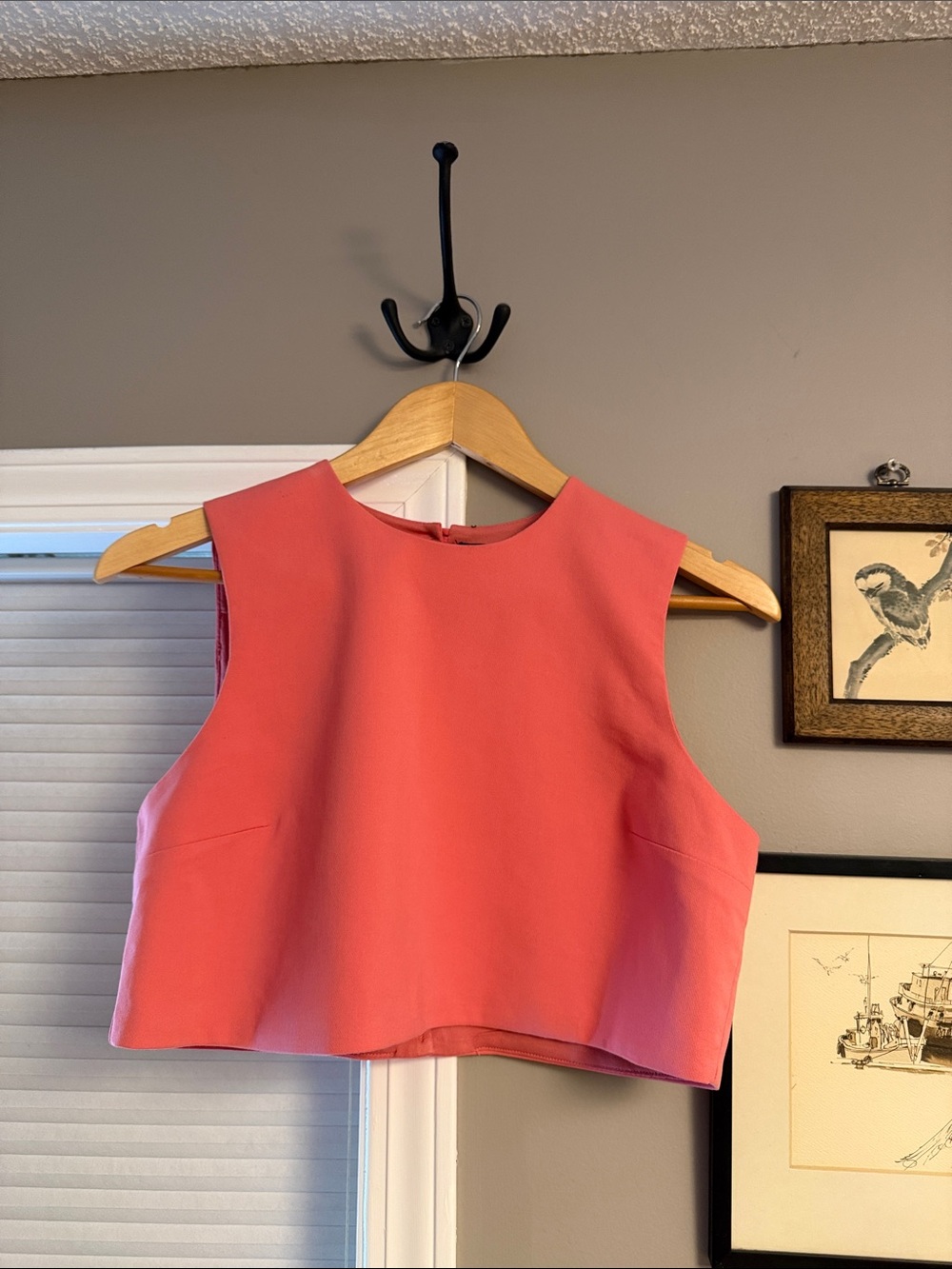 ZARA Pink Cropped Top